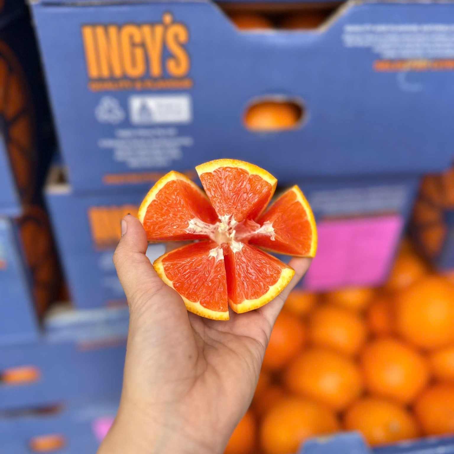 Cam Úc_thumbnail_1