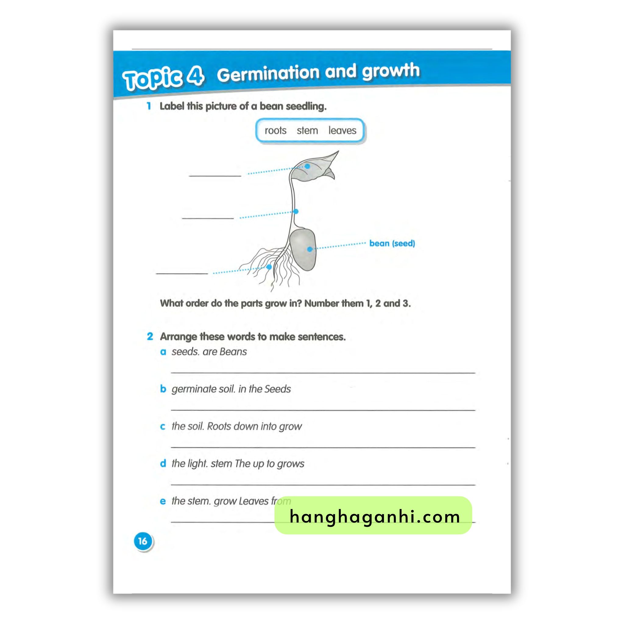 Macmillan Science 3 Workbook_thumbnail_5