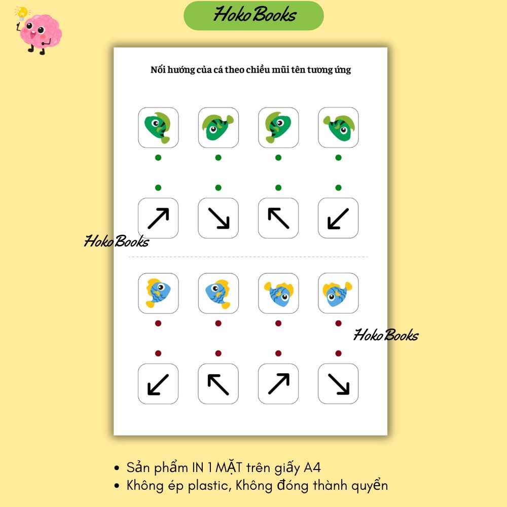 HL3 Bộ 23 tờ Học liệu định vị hướng IN A4 1 MẶT, KHÔNG ÉP PLASTIC, KHÔNG ĐÓNG QUYỂN_thumbnail_6