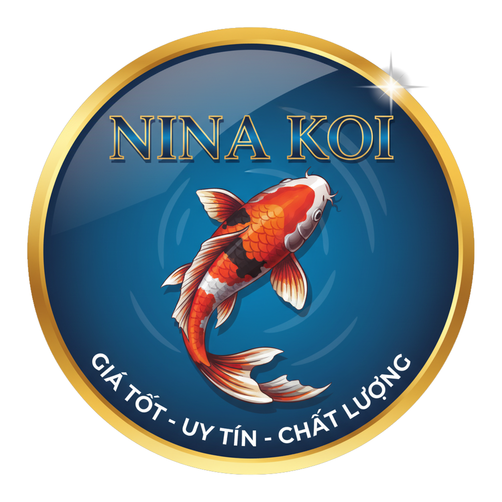 Gemini_Generated_Image_hikfl1hikfl1hikf