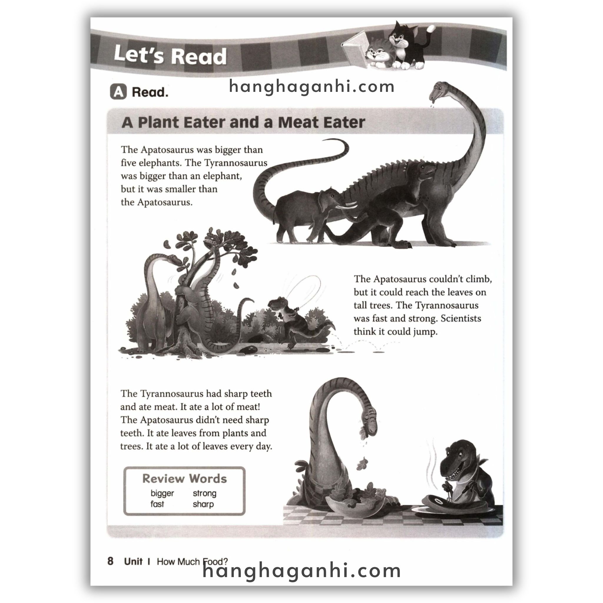 Let’s Go Level 5, Bộ 2 cuốn gồm Student book và Workbook bản 5th Edition_thumbnail_20