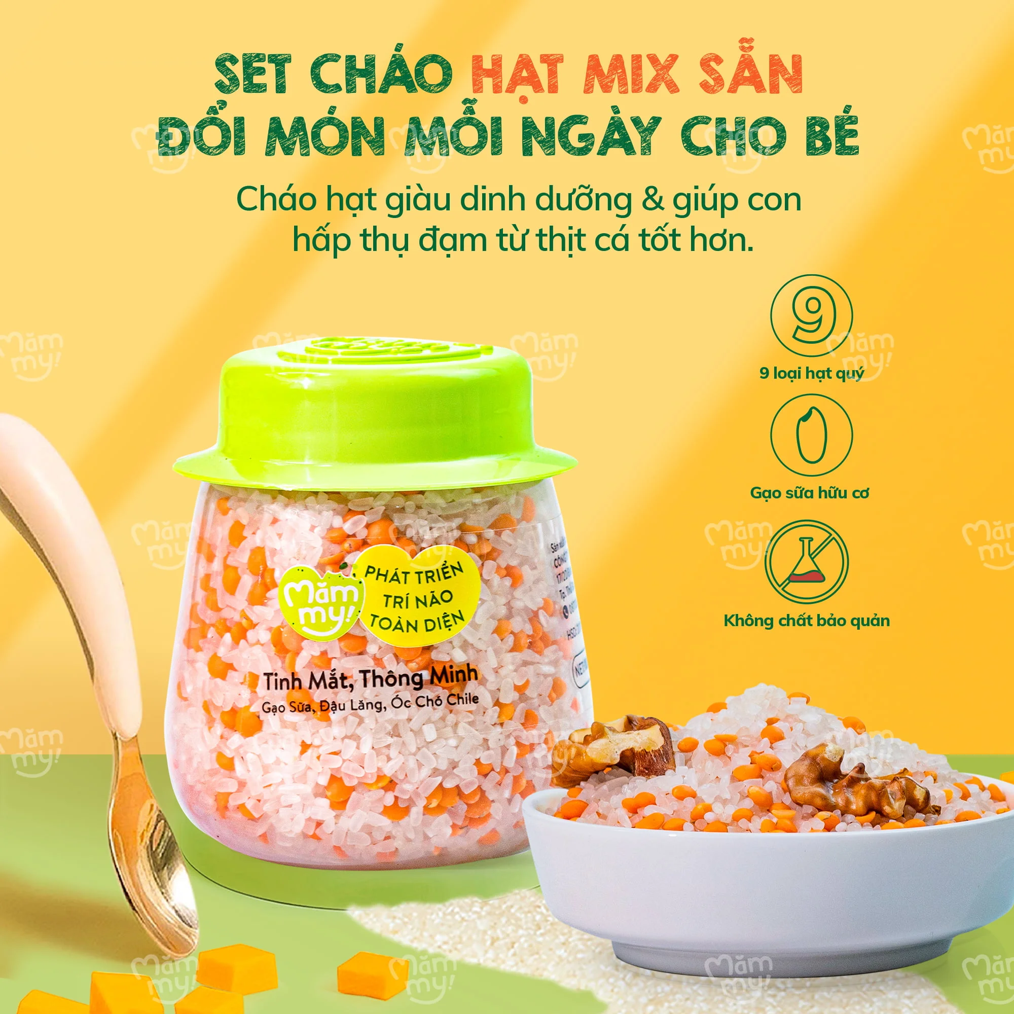 Hạt mix tinh mắt, thông minh Măm My