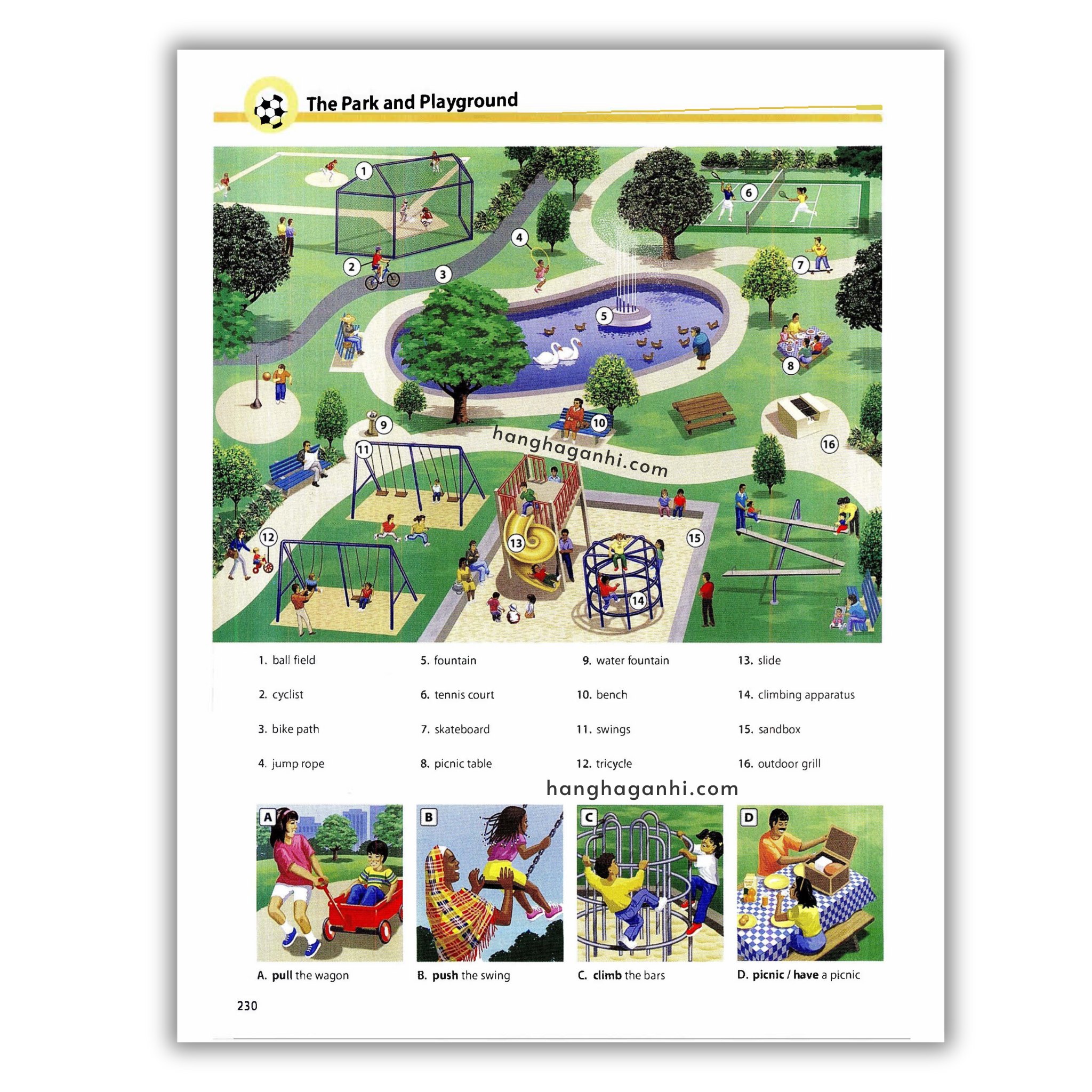 Oxford Picture Dictionary Third Edition: Từ điển Tiếng Anh_thumbnail_15