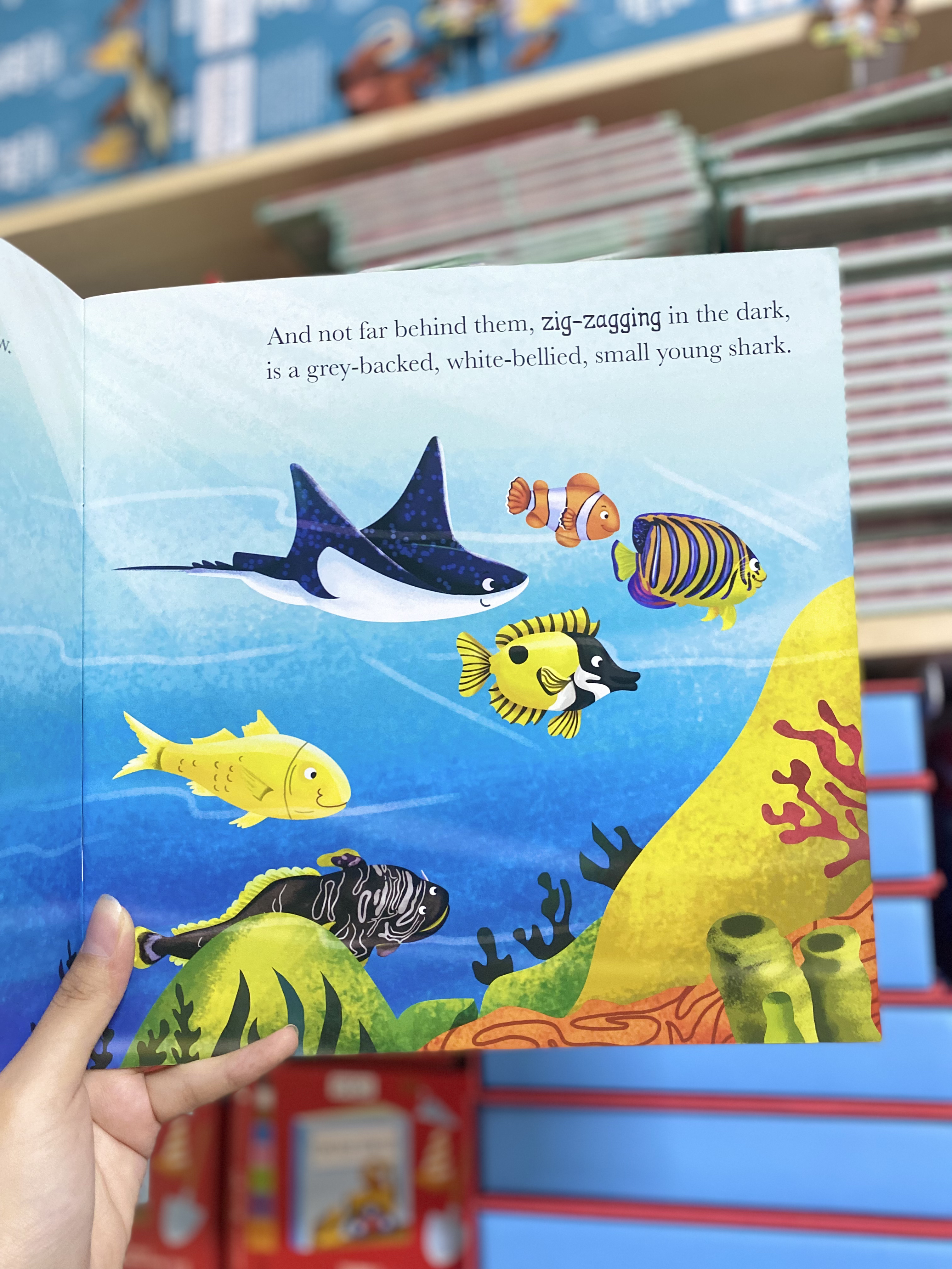 When Shark learns to Share ( set me and my feeling )_thumbnail_3