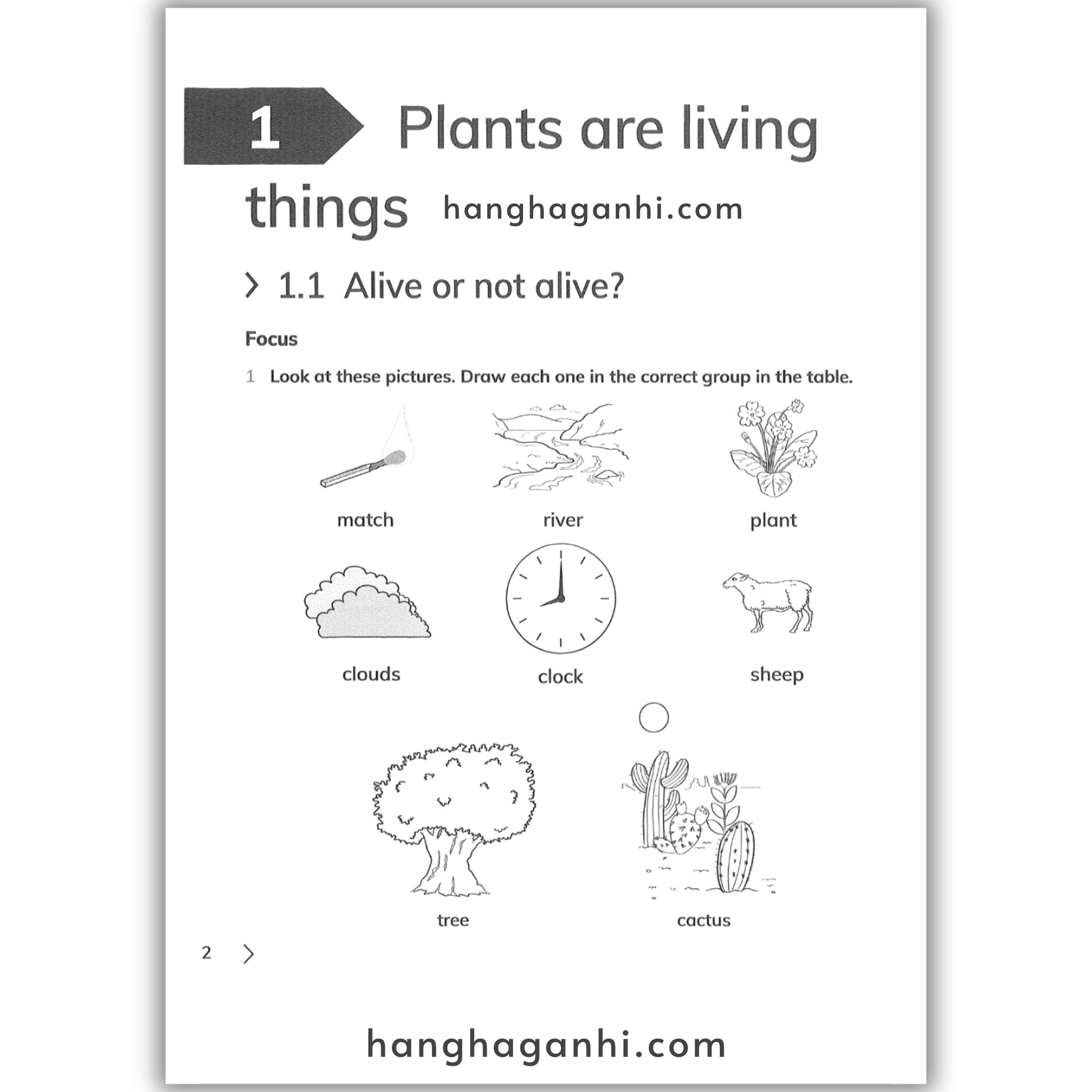 Cambridge Level 3 Primary Science Learner’s Book and Workbook 2nd edition 2021_thumbnail_12