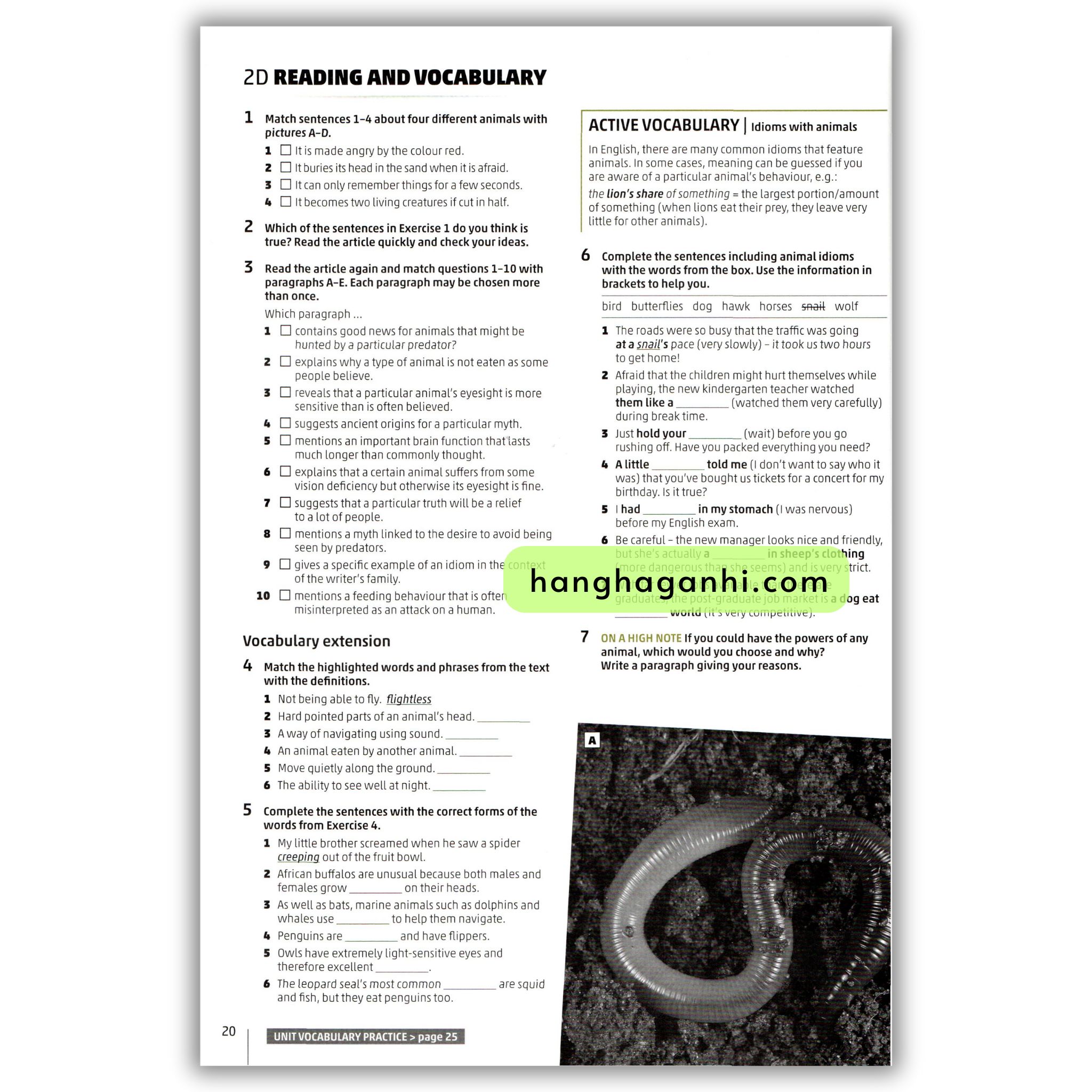 High Note 4 Workbook_thumbnail_16