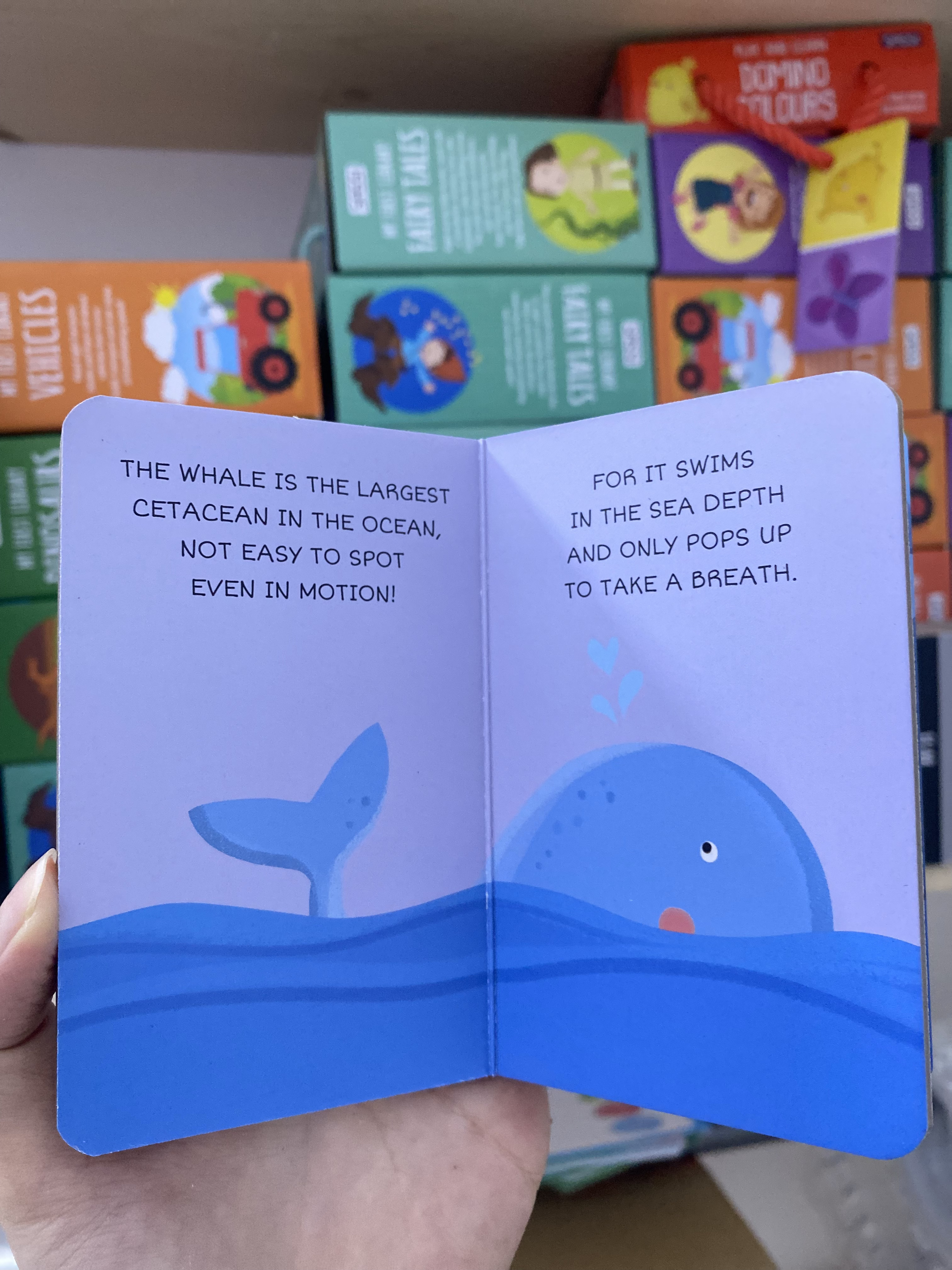 WHALE (The Sea Library)_thumbnail_2