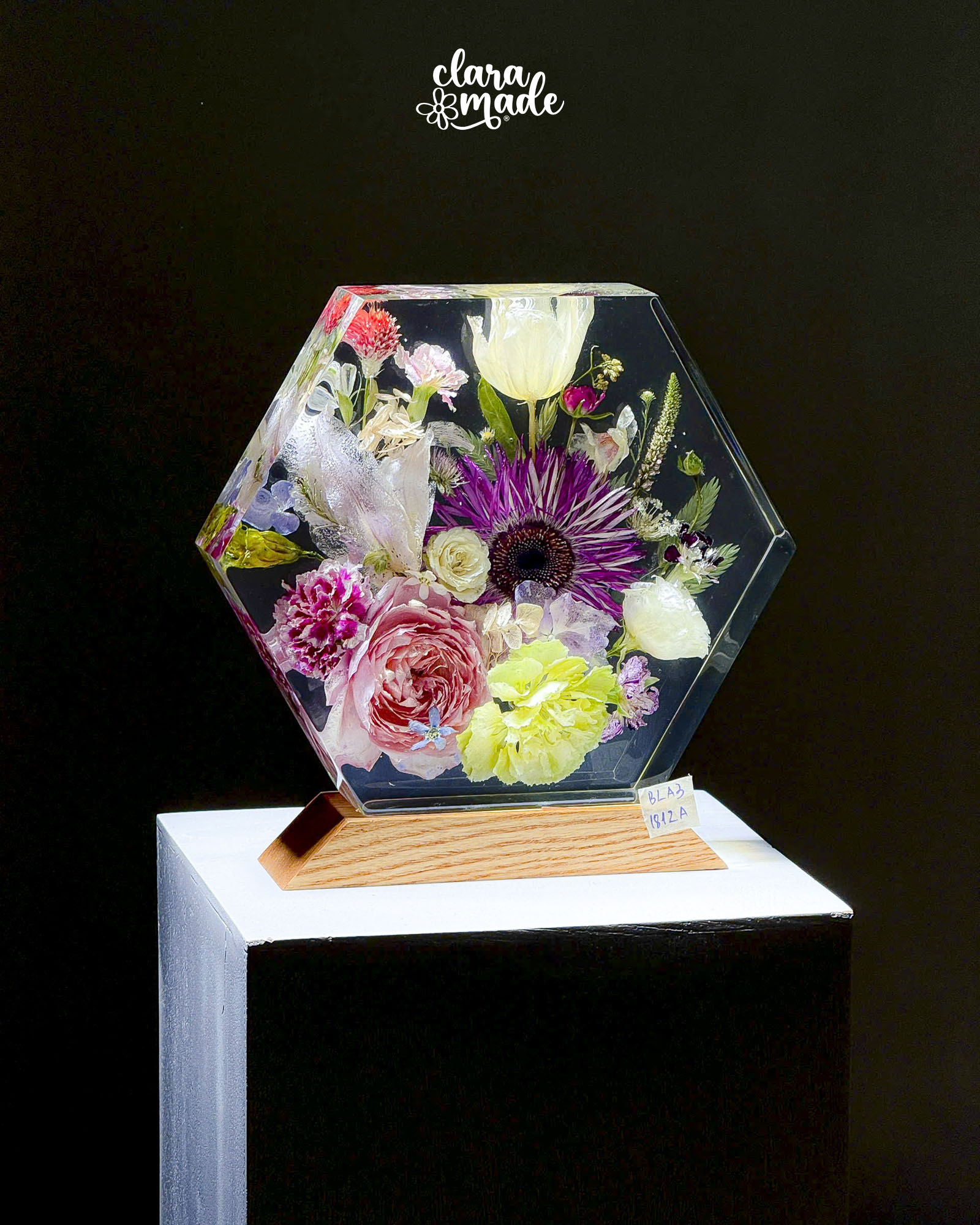 Đèn hoa khô Bloomlight BLA31812A