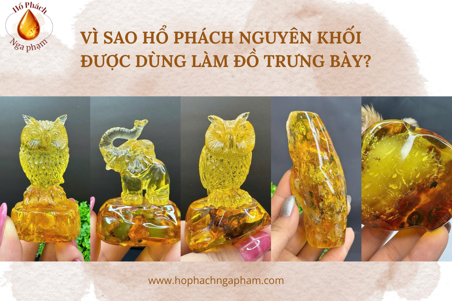 Vì Sao Hổ Phách Nguyên Khối Được Dùng Làm Đồ Trưng Bày?