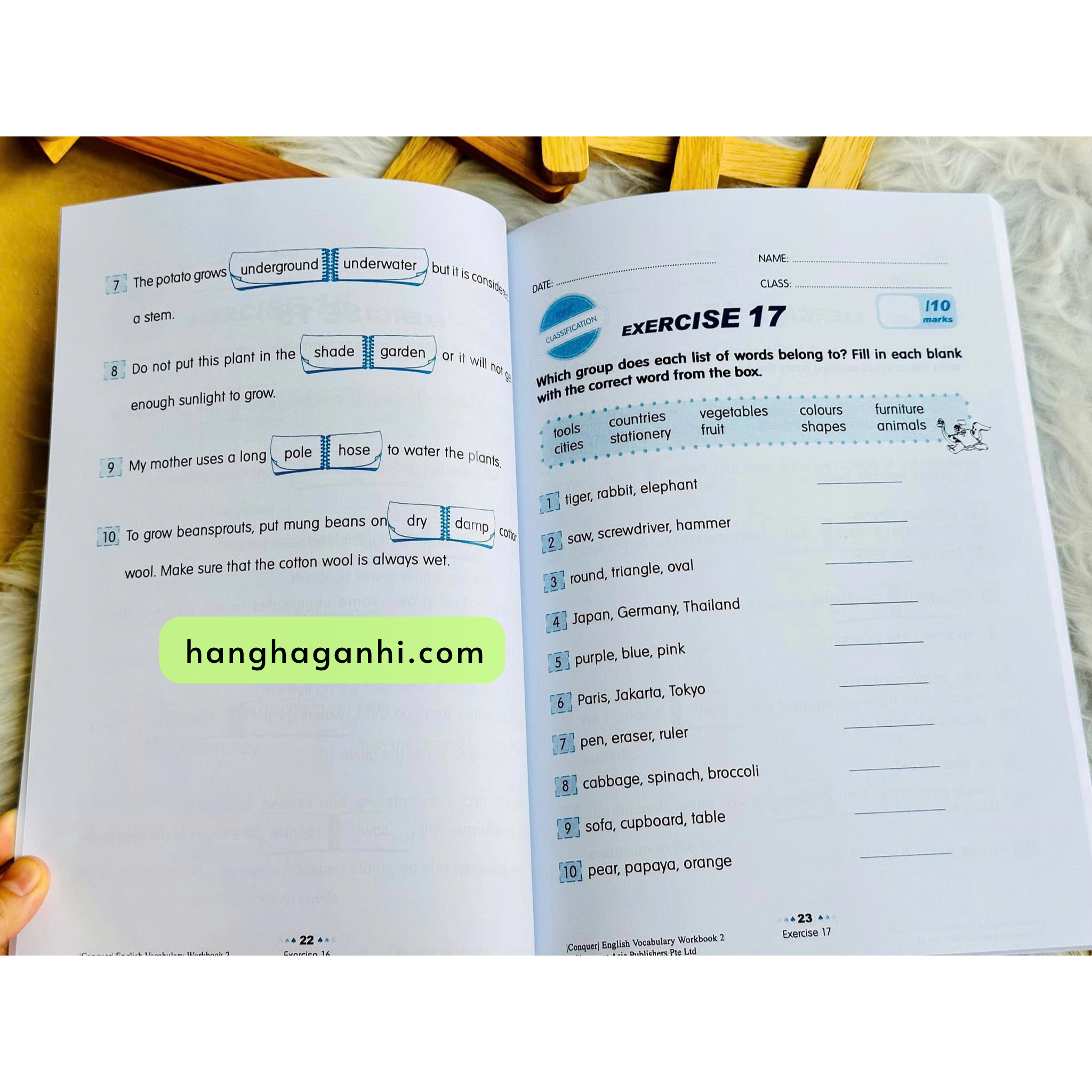 Conquer  English  Vocabulary Workbook - Bộ 6 Grade 1 - 6_thumbnail_4