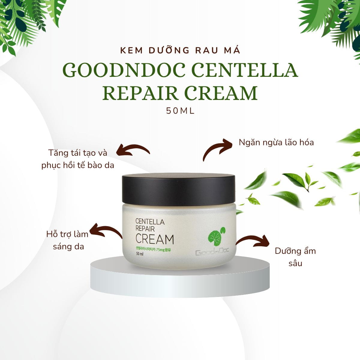 Kem dưỡng da phục hồi cấp ẩm rau má GoodnDoc Centella Repair Cream 50ml_thumbnail_3