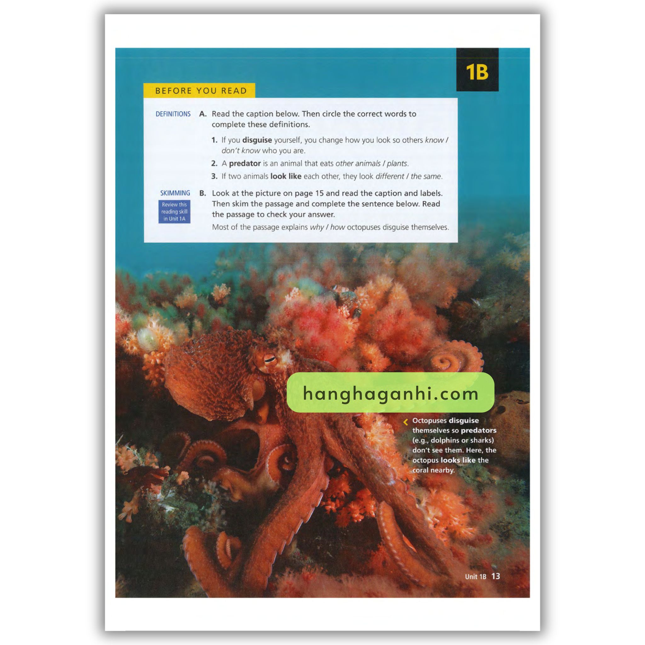 Reading Explorer 1 Student’s Book 3rd Edition_thumbnail_4