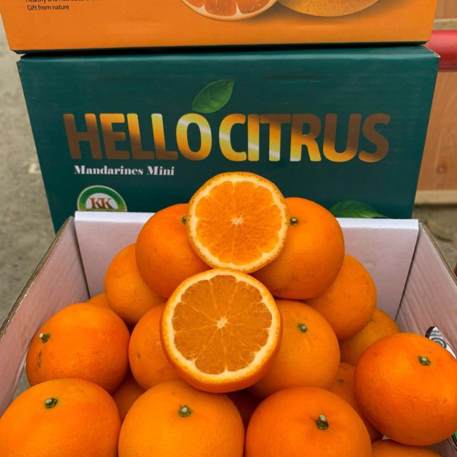 Quýt Baby Thùng (Citrus)