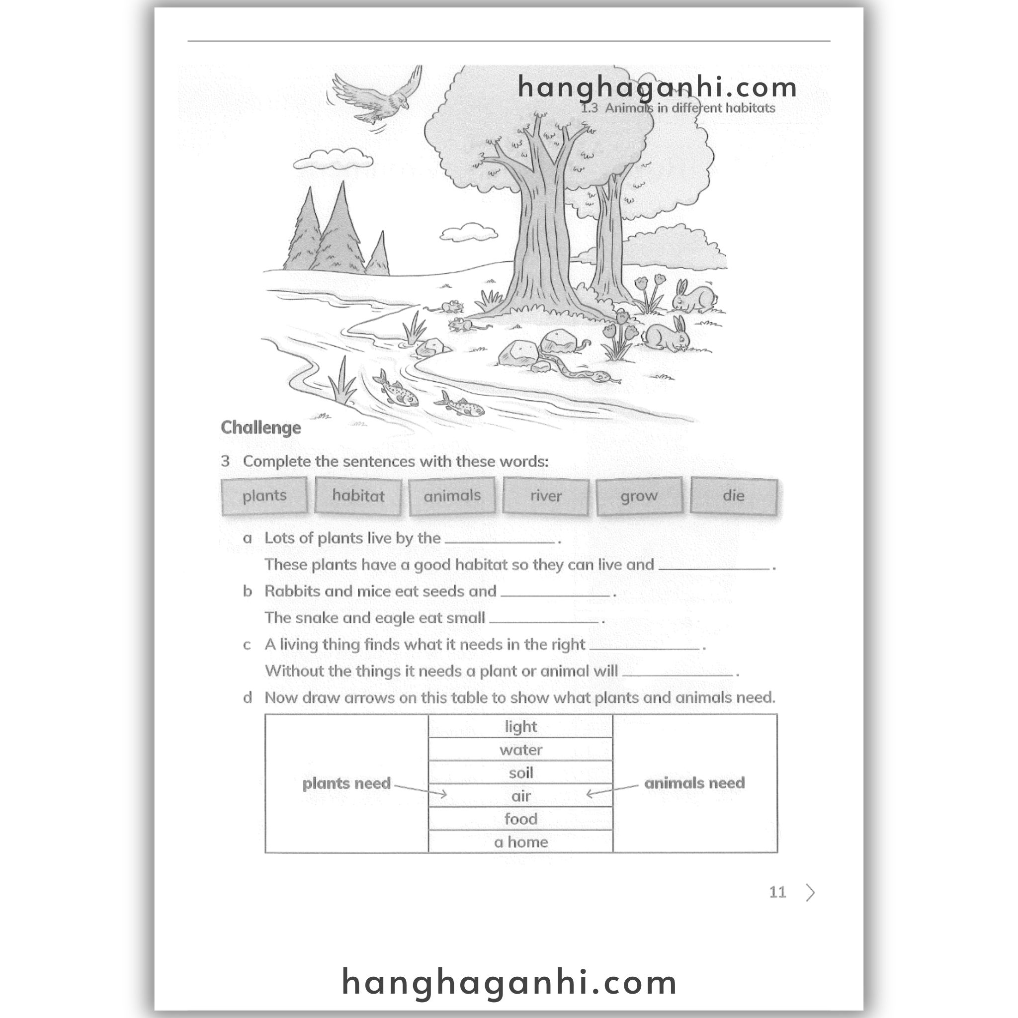Cambridge Level 2 Primary Science Workbook 2nd edition 2021_thumbnail_11
