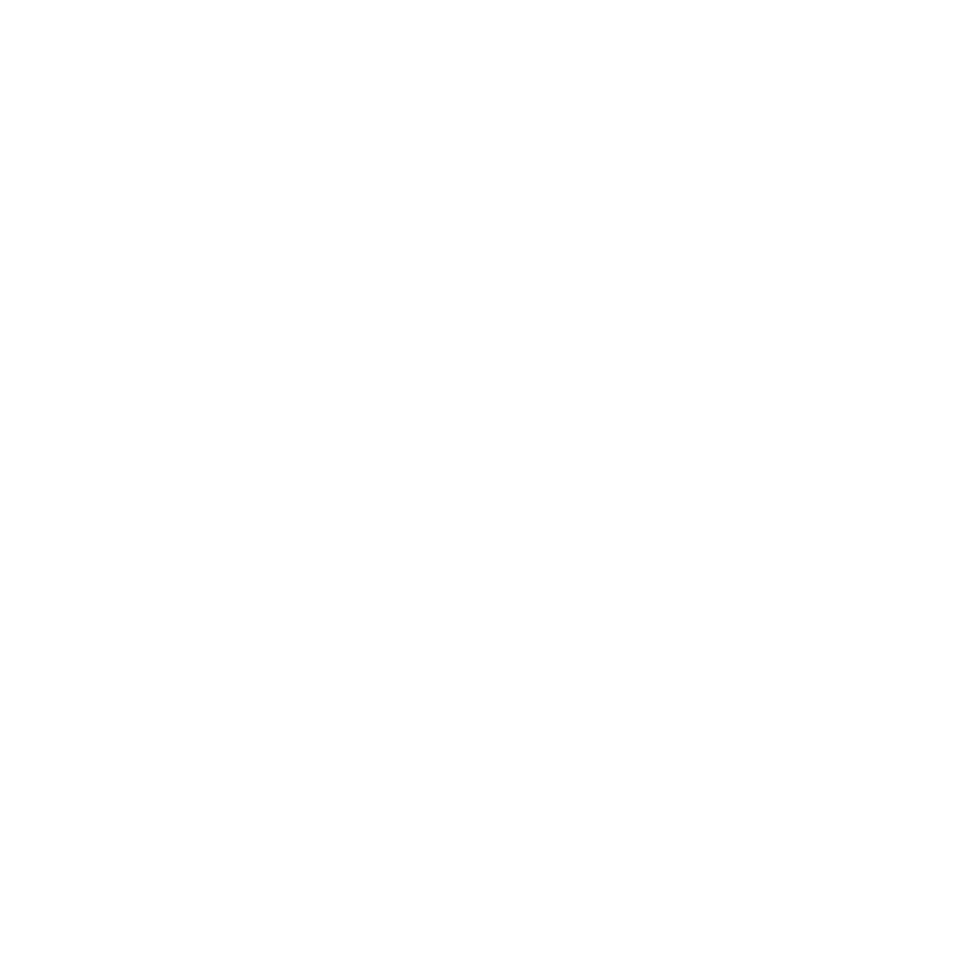 SHOPEE ICON