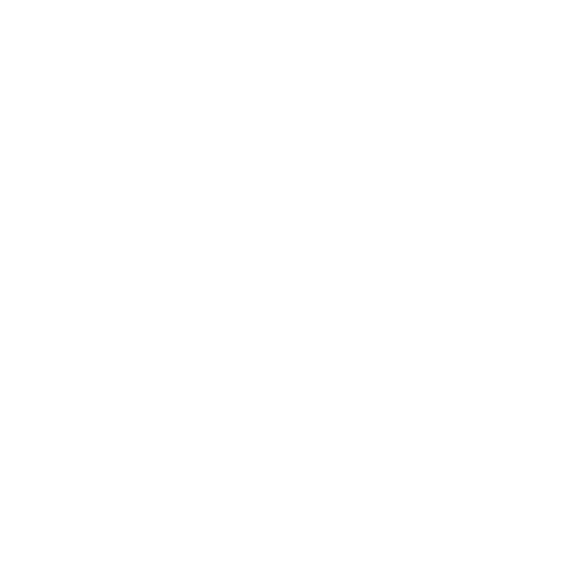 icon_website_VELA_v copy