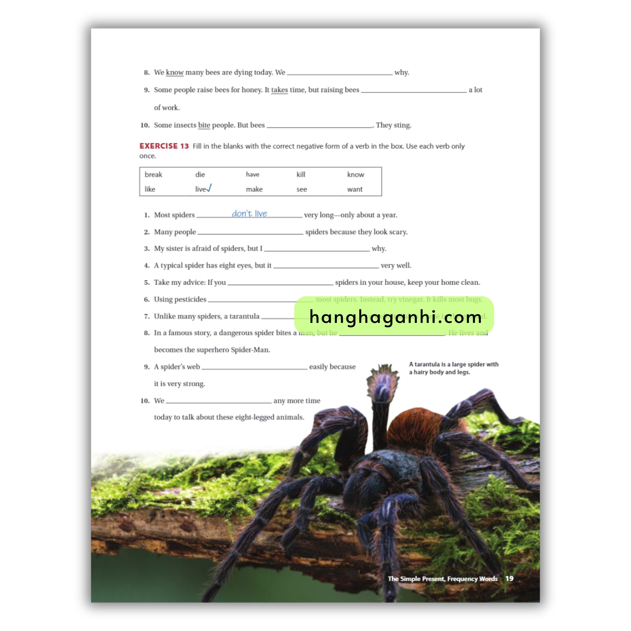 National Geographic Grammar In Context 2 (7Th Edition)_thumbnail_18