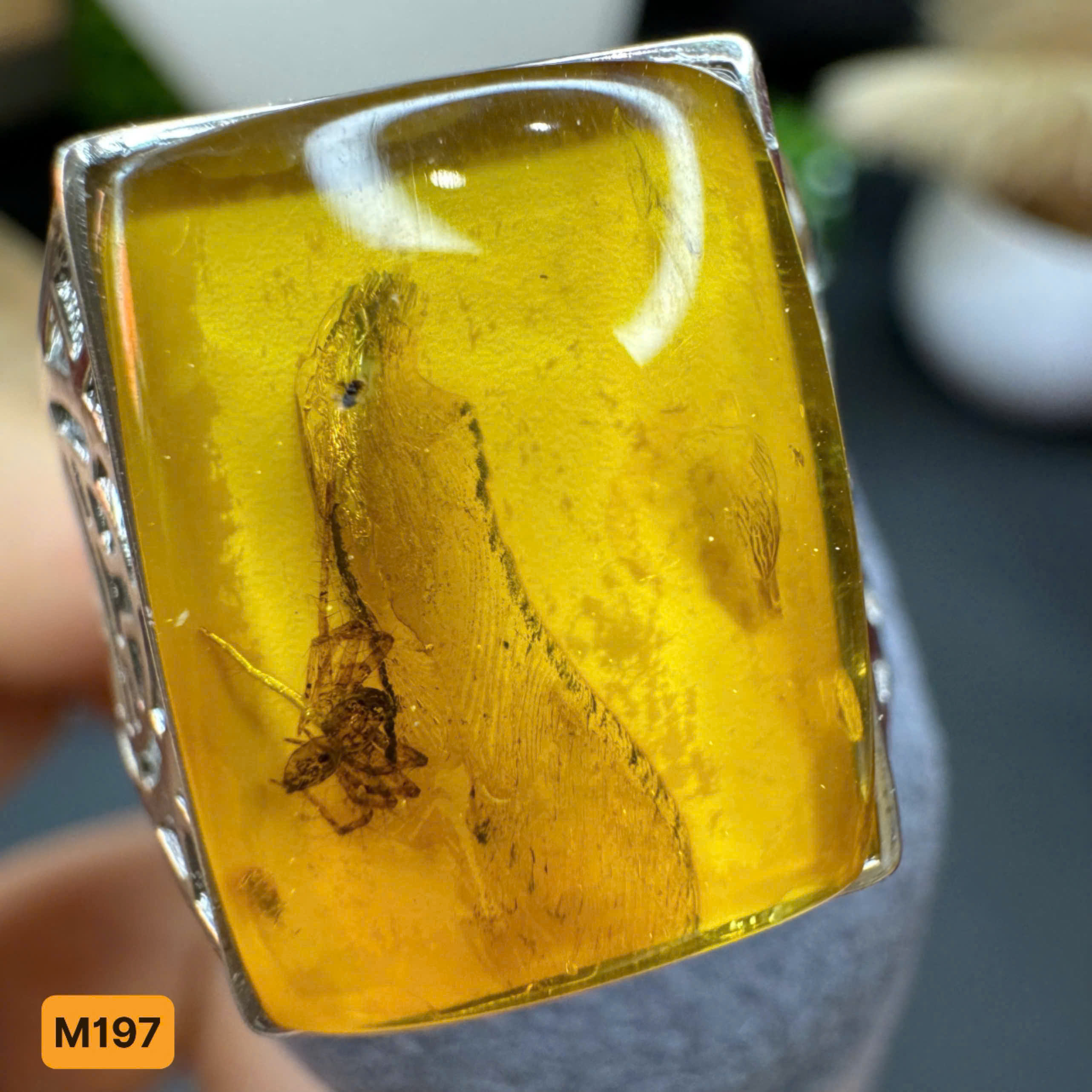 Nhẫn Côn Trùng  - M197