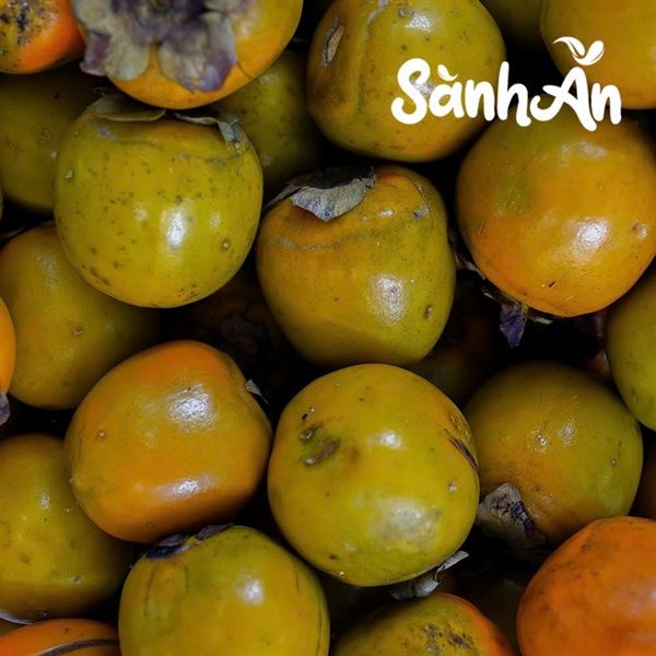 Hồng ngâm_thumbnail_3