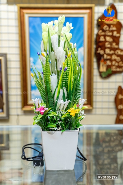 Hoa huệ vuông_thumbnail_1