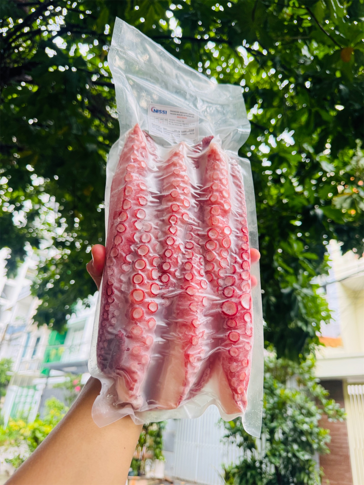 Chân bạch tuộc đỏ NHẬT _thumbnail_0