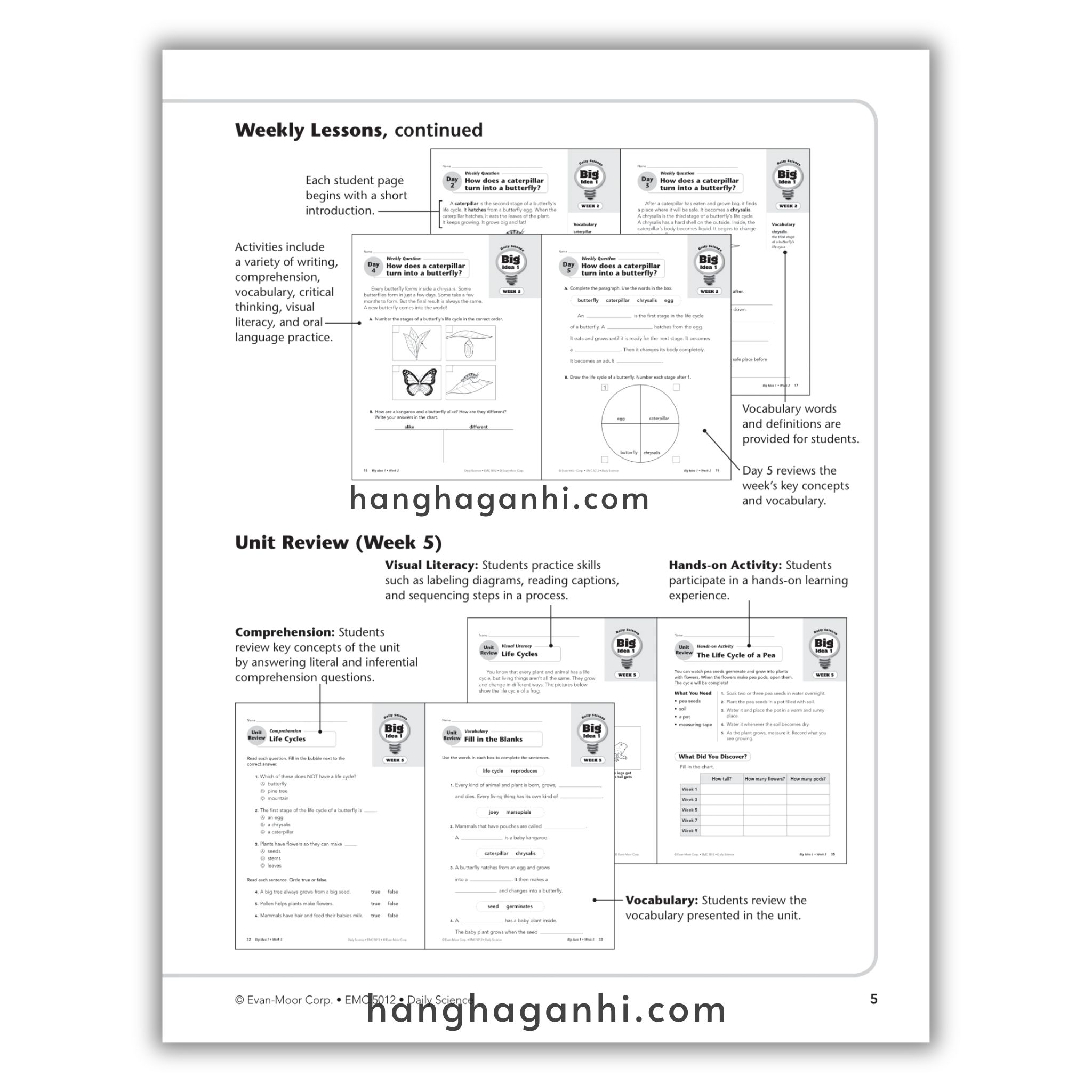 Daily Science Grade 2_thumbnail_7