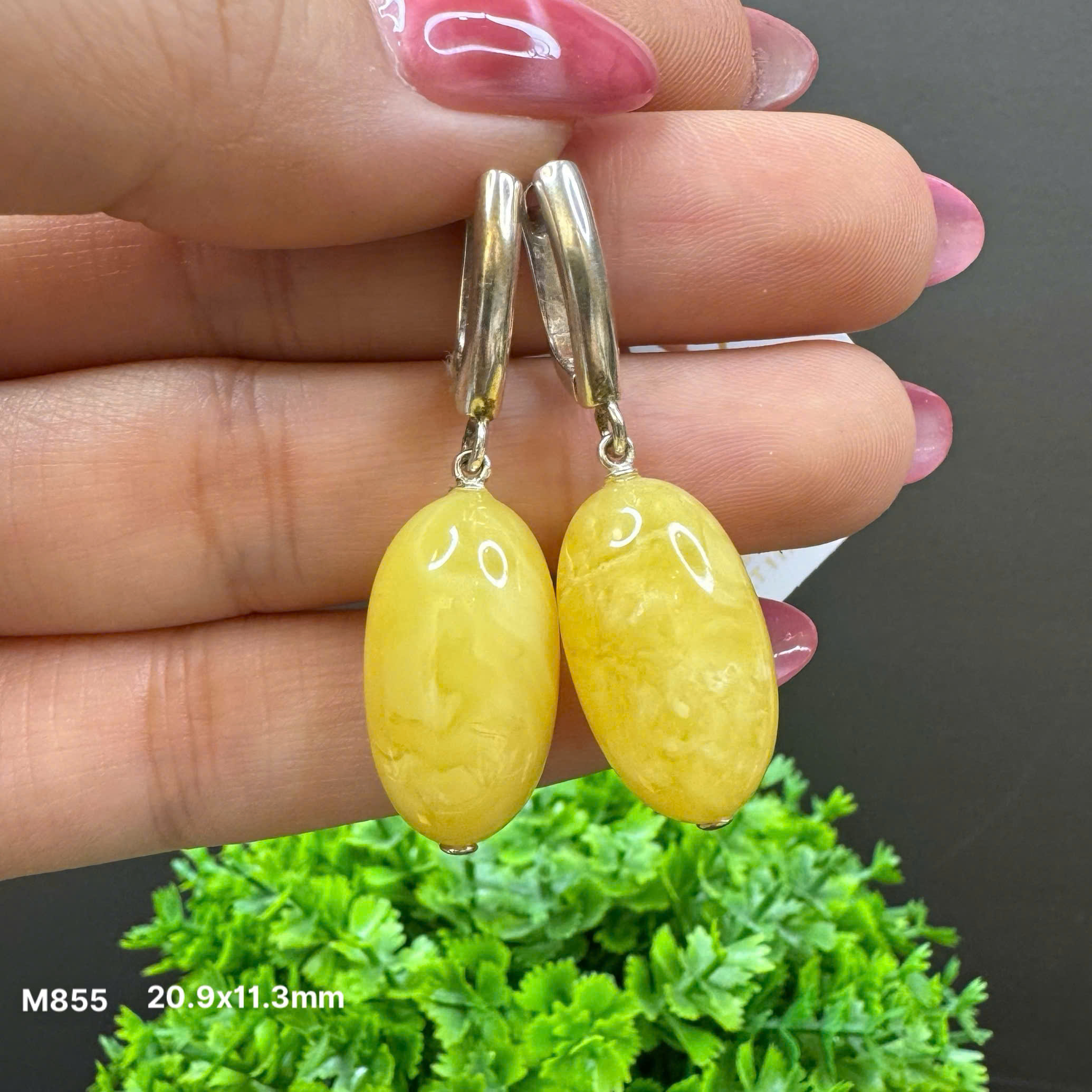 Hoa Tai Oliu Hoàng Gia - M855