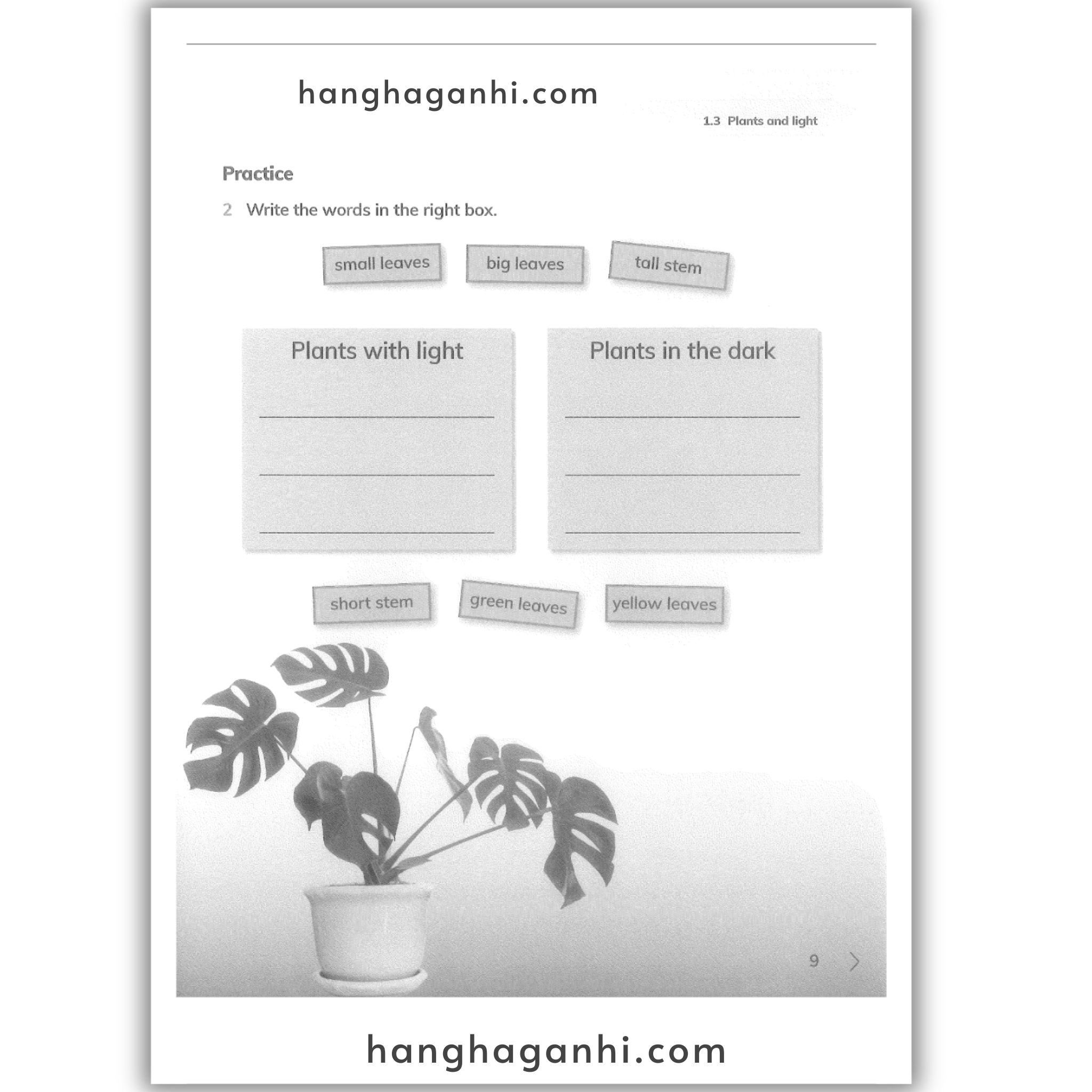 Cambridge Level 1 Primary Science Workbook 2nd edition 2021_thumbnail_4