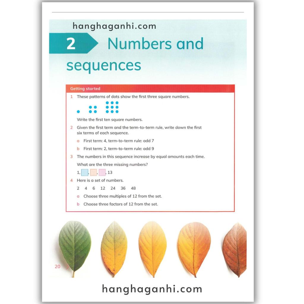 Cambridge Level 6 Primary Mathematics Learner’s Book 2Nd_thumbnail_8