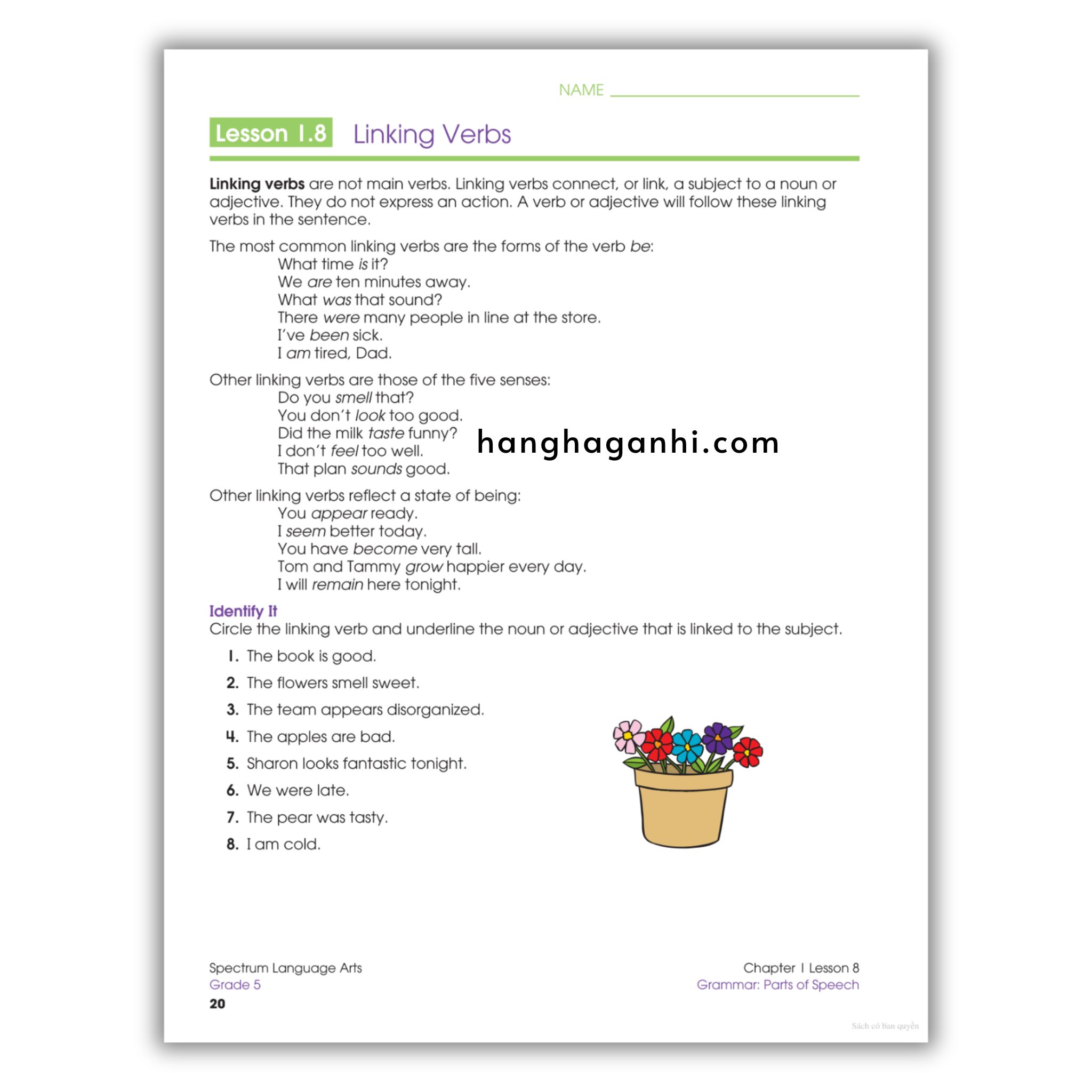 Sách Spectrum Language Arts Workbook Grade 5_thumbnail_5
