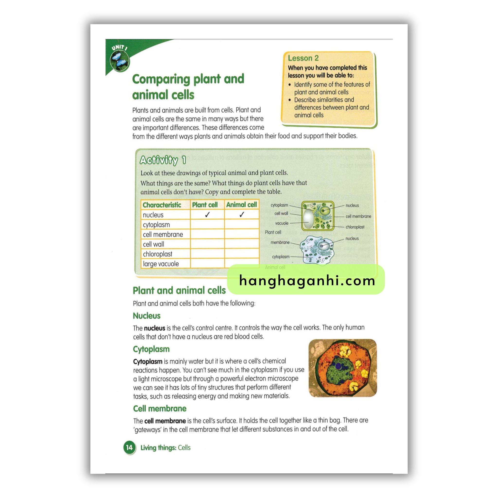 Macmillan Science 6 Pupil’s book_thumbnail_6