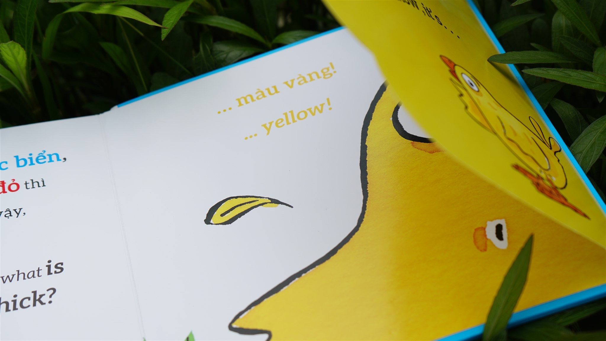 Combo 4 cuốn sách song ngữ Tương tác lật mở_thumbnail_3