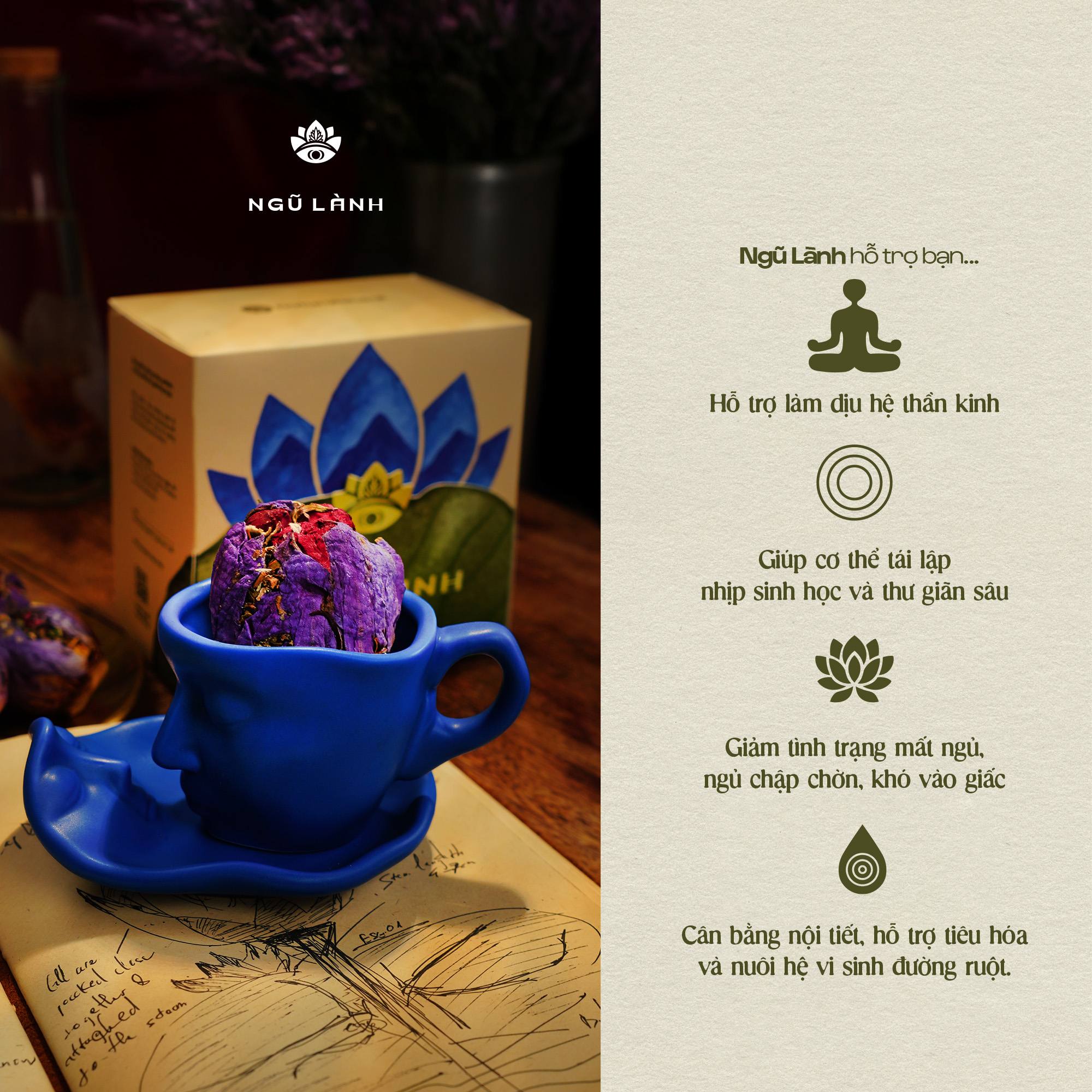 Trà Ngũ Lành - Giảm Căng Thẳng & Điều Hòa Thần Kinh & Ngủ Sâu Tự Nhiên | Natural’s Heal_thumbnail_6