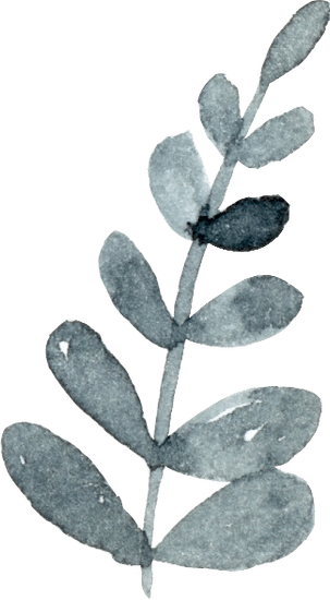 Bộ Ngủ Thiết Kế