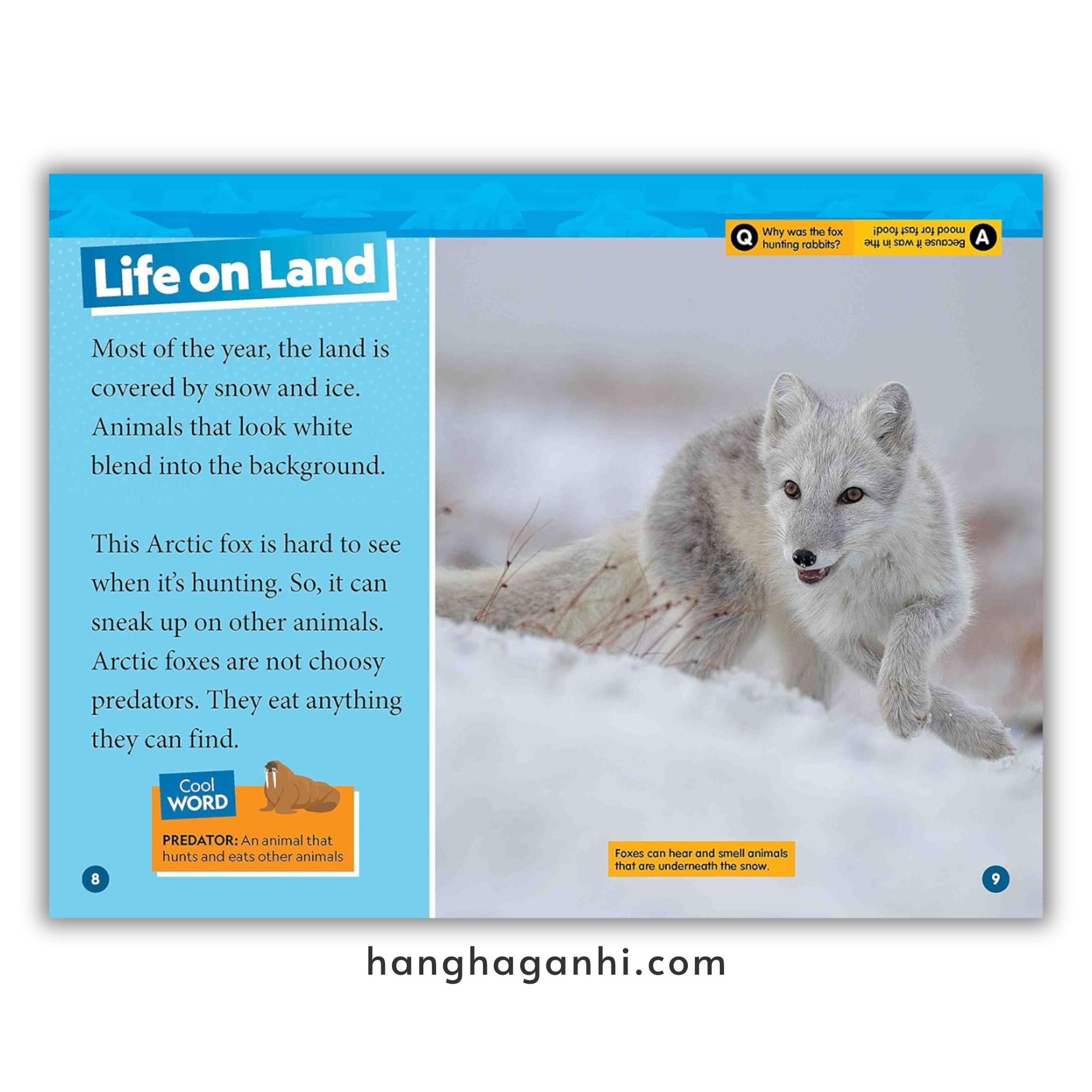 Bộ 41 cuốn National Geographic Kids level 2 - sách Khoa học tiếng Anh nhập khẩu, nguyên seal_thumbnail_16