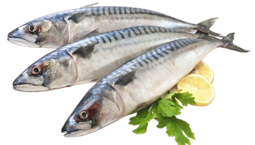 ca-2522-1449767679-removebg-preview