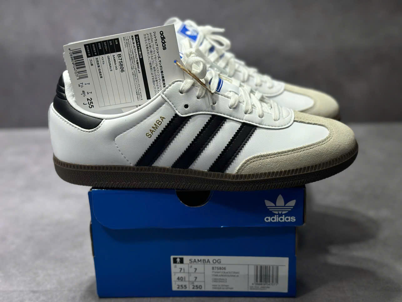 G98 GIÀY NỮ_thumbnail_7