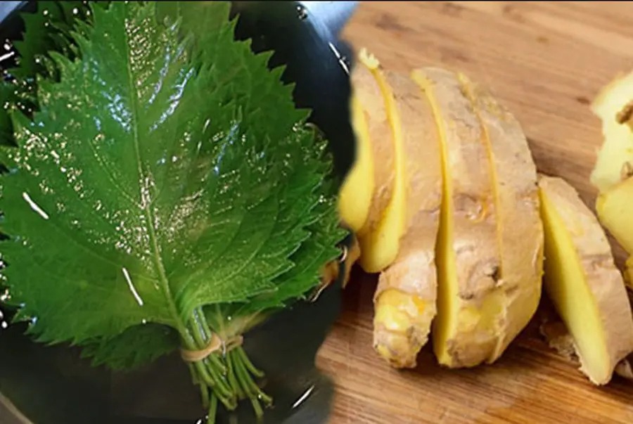 Các loại rau gia vị – “Kháng sinh tự nhiên” giúp tăng sức đề kháng khi giao mùa