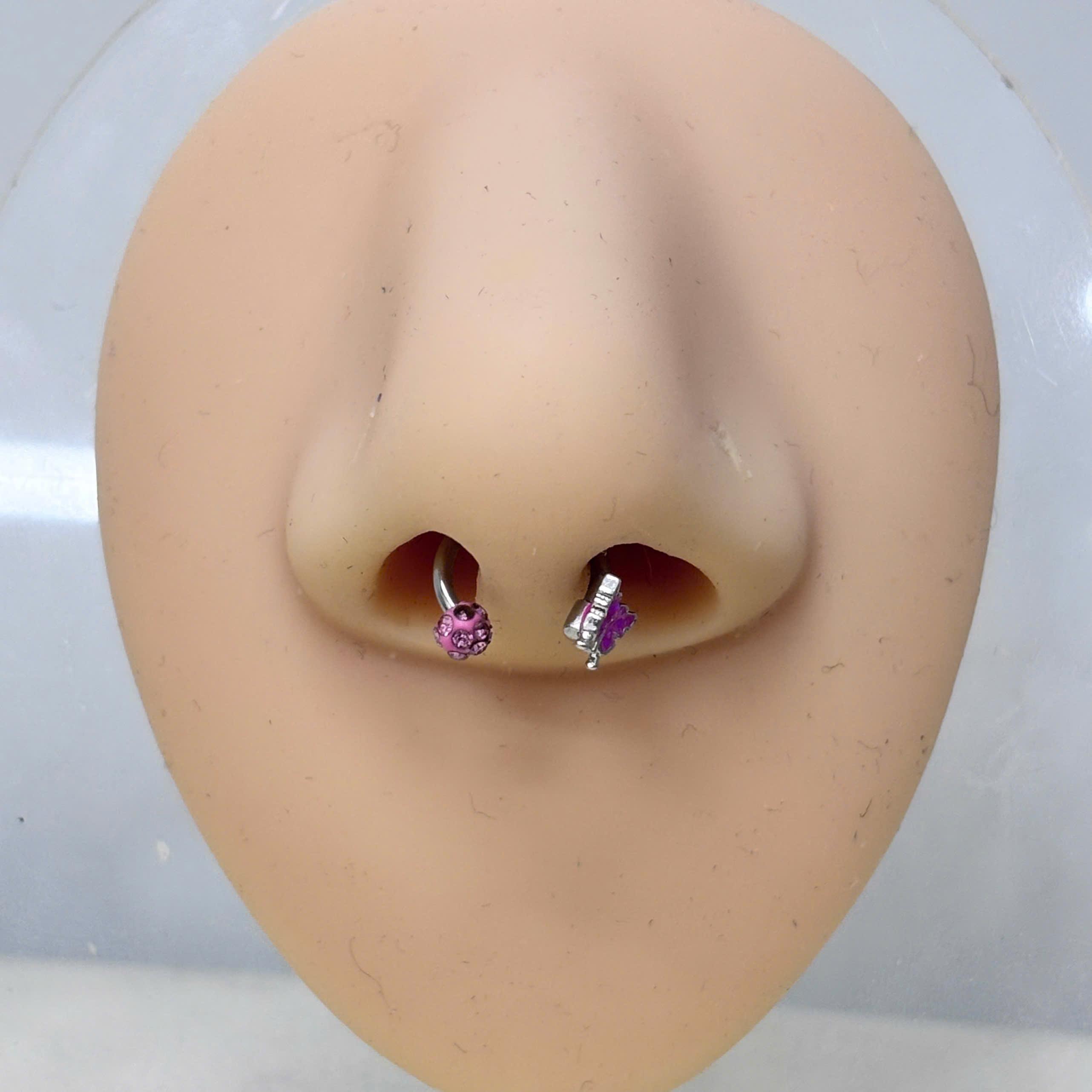 Septum bướm bi hồng._thumbnail_3