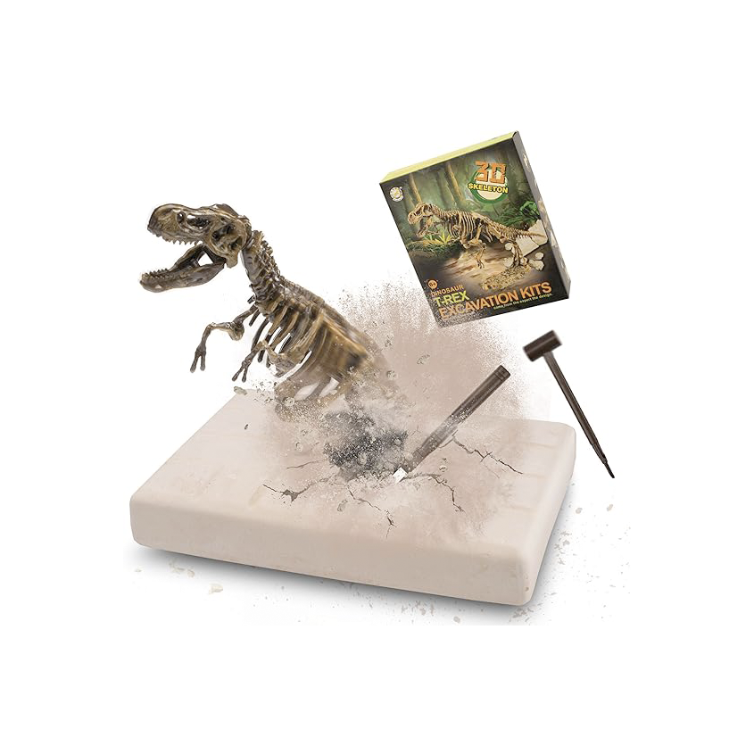 Dino Excavación_thumbnail_3