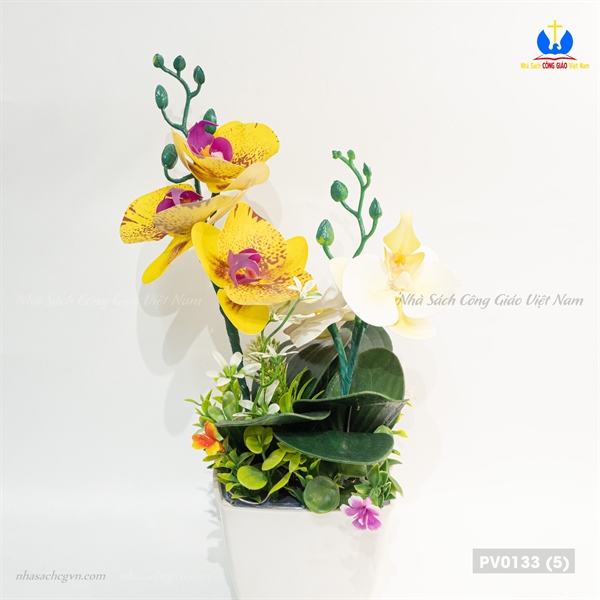 Hoa lan 2 nhánh_thumbnail_1