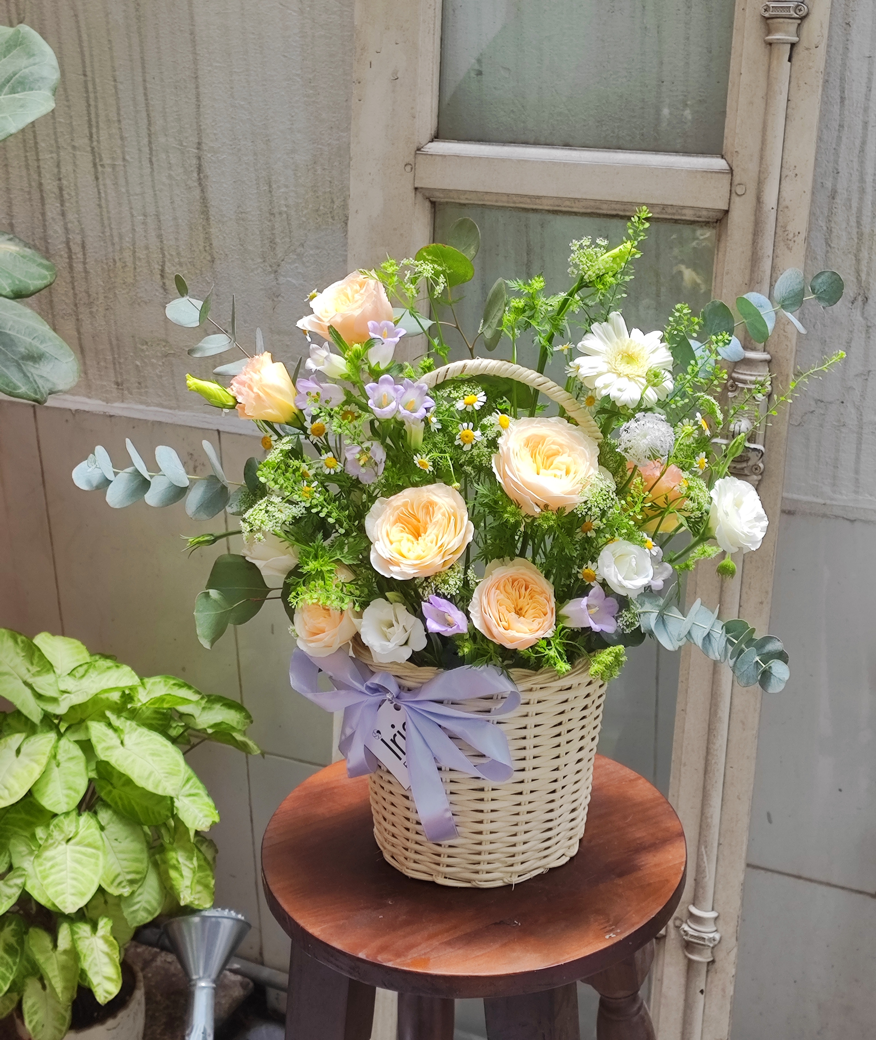 Giỏ mây trắng tròn tone cam_thumbnail_0