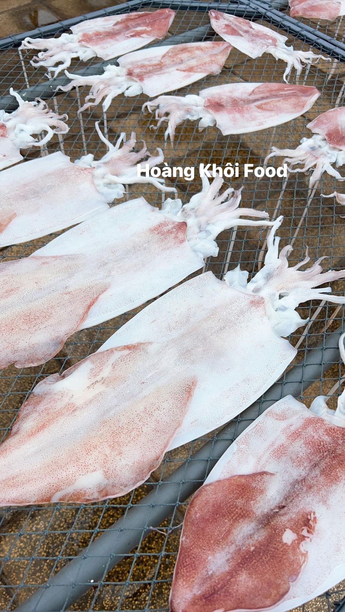 Mực 1 Nắng_thumbnail_2
