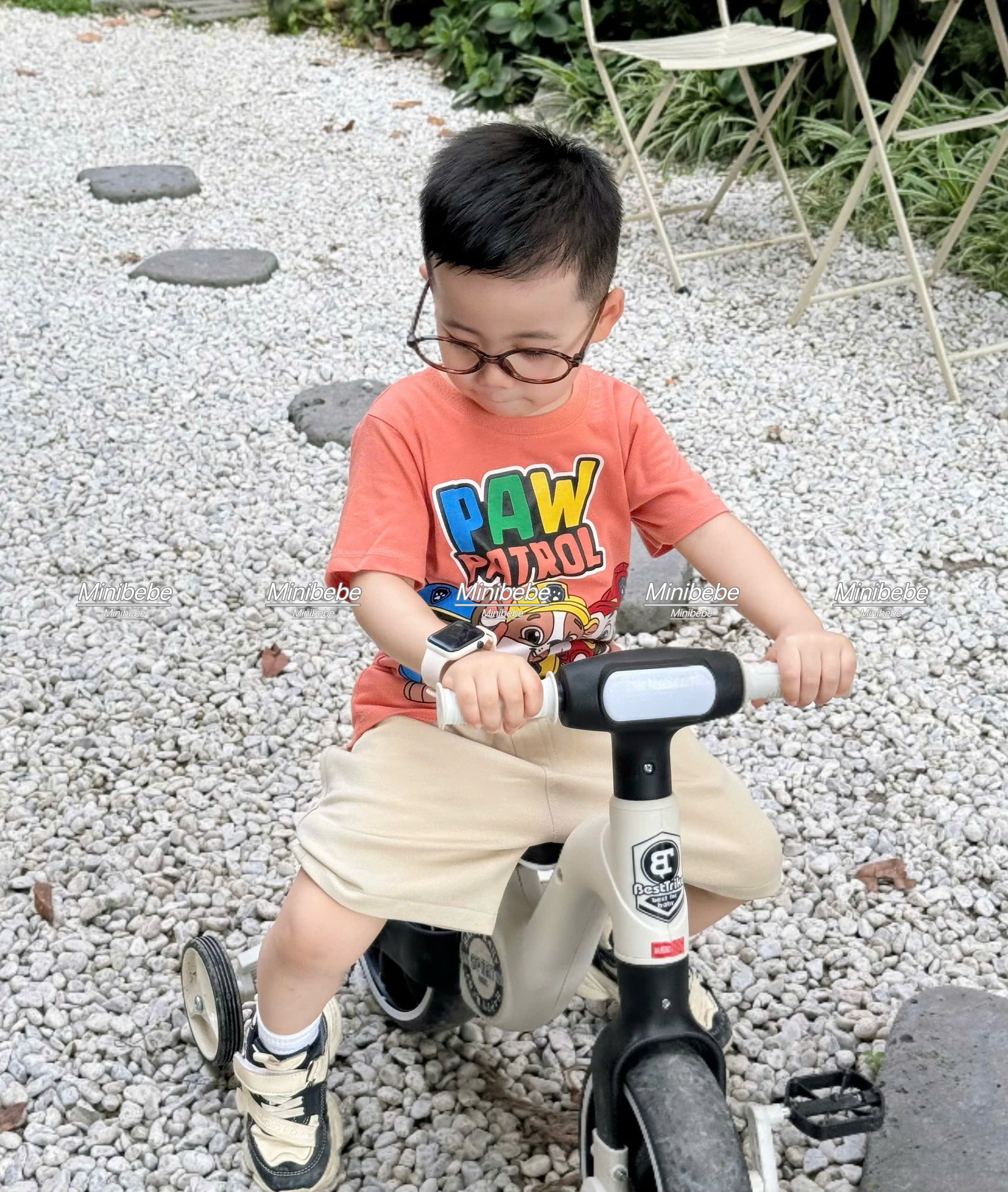 T71 BỘ CỘC ÁO CHÓ VÀ CHỮ 3 MÀU - A117.1739