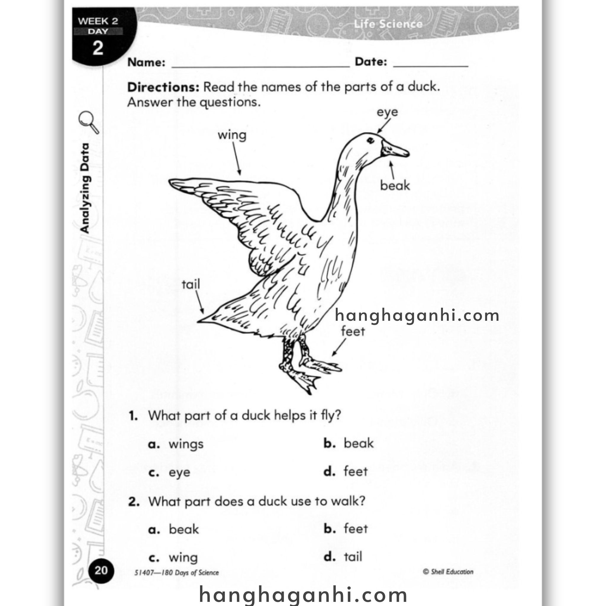 Sách 180 Days of Science Grade 1_thumbnail_4