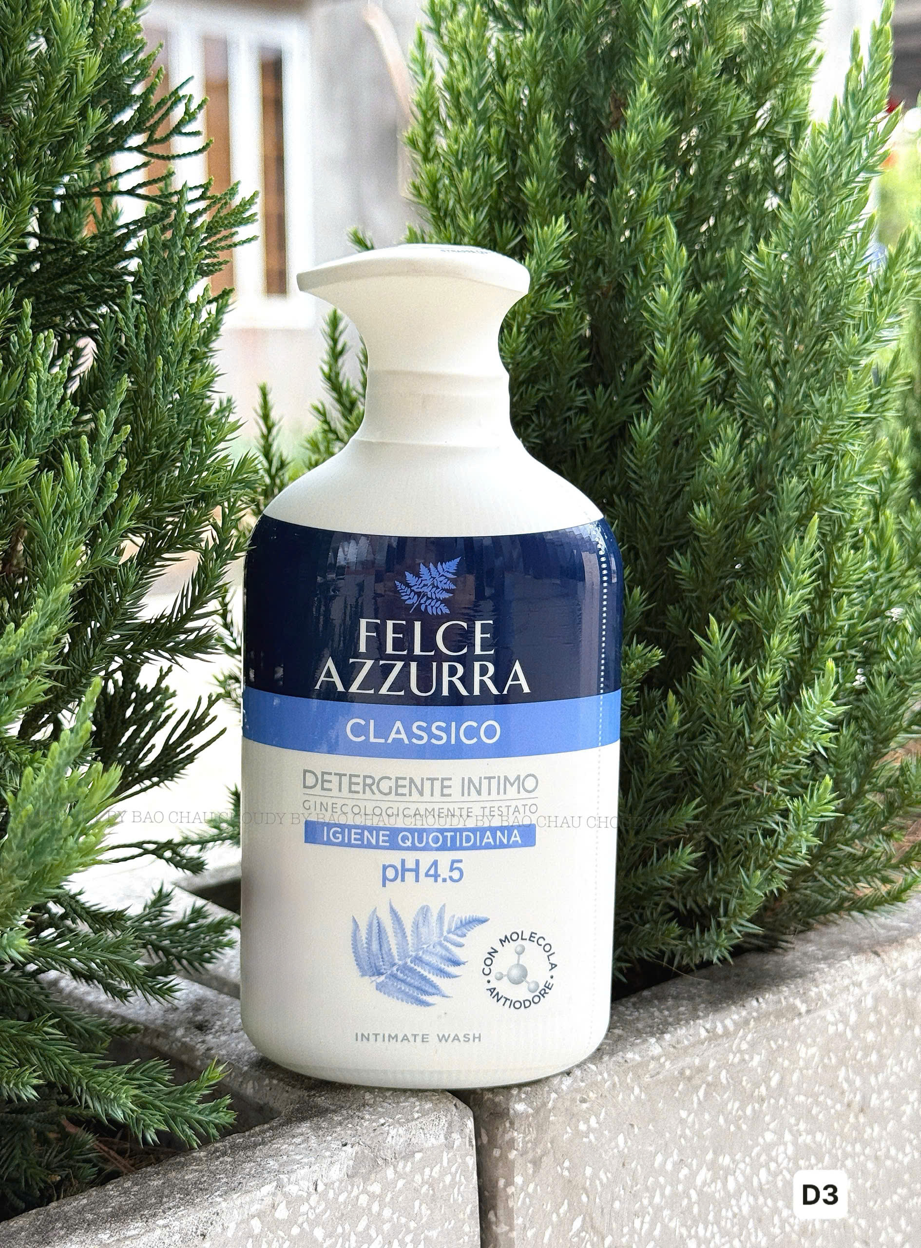 D3 DDVS 2 MÀU_thumbnail_2