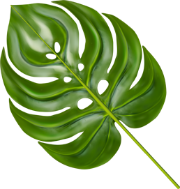 leaf-1-8