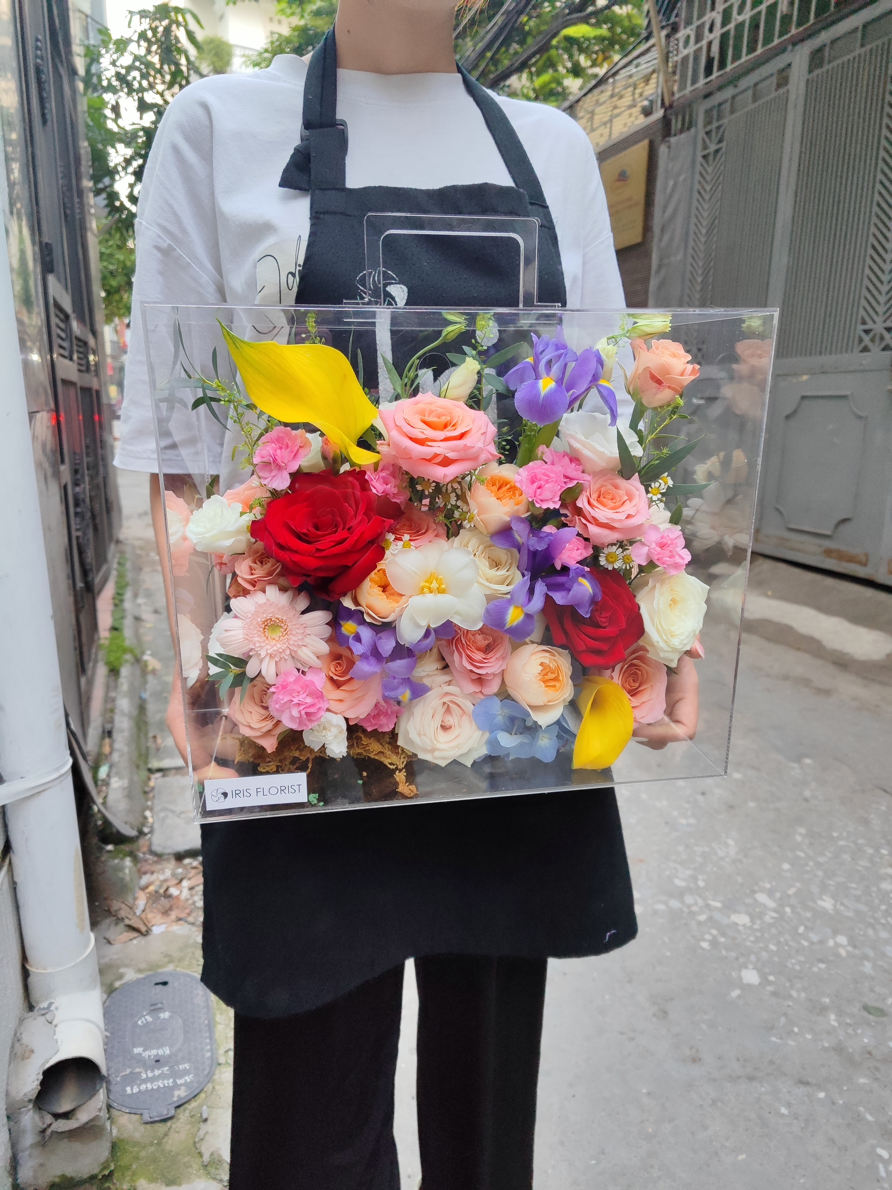 Hộp hoa kính Mica - Mix 7 màu