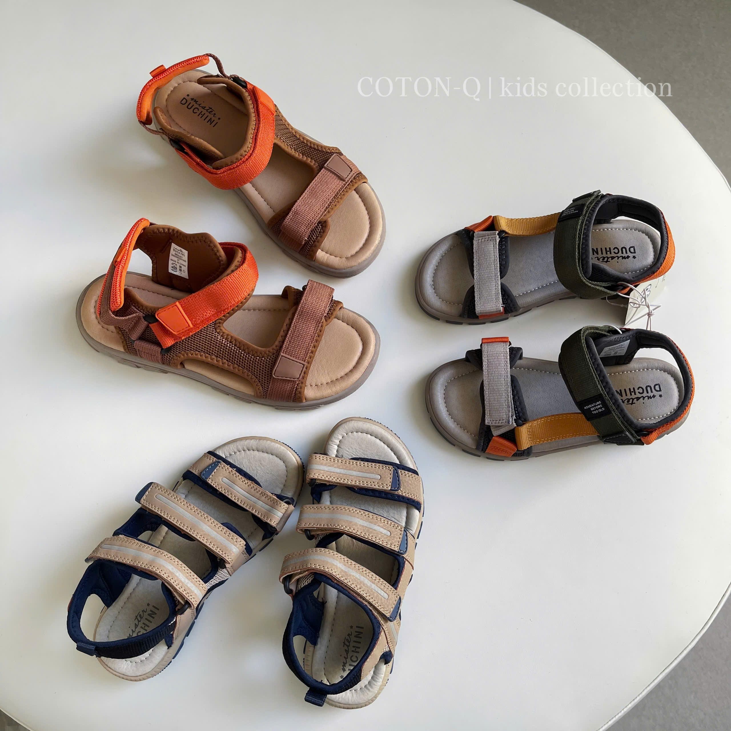 Sandan bé ( RÊU TRỘN )_thumbnail_3