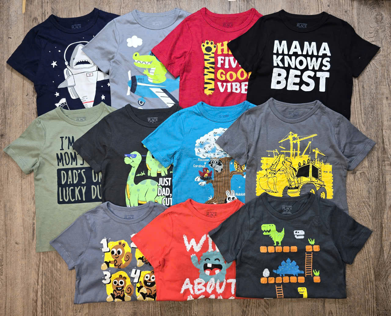 A46 ÁO THUN PLACE BÉ TRAI NHÍ (FORM SLIM)